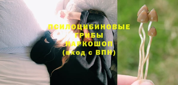 хмурый Переславль-Залесский