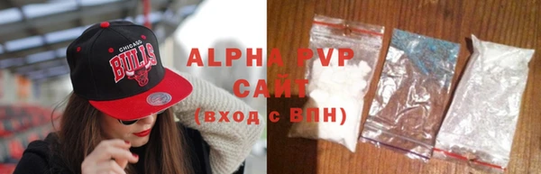 a pvp Пересвет