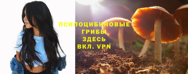 mdma Пестово