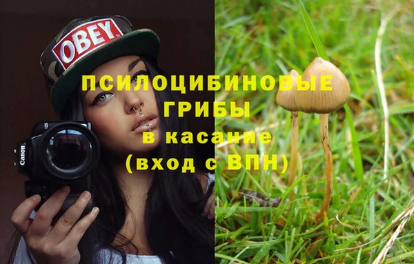 хмурый Переславль-Залесский