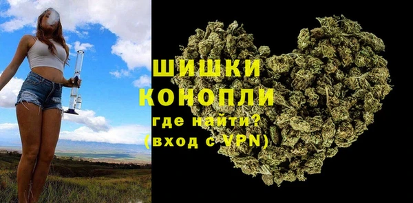 a pvp Пересвет