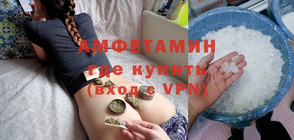 a pvp Пересвет