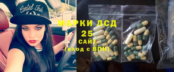 a pvp Пересвет