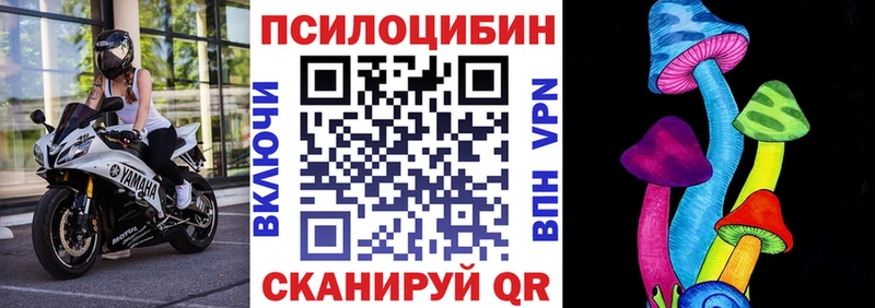 купить   Пласт  KRAKEN как войти  Галлюциногенные грибы MAGIC MUSHROOMS 